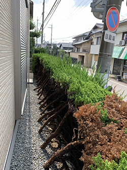 寝屋川市太秦：Ｓ様邸スーパーウォール新築建替工事 