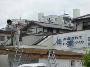 草屋根に挑戦！