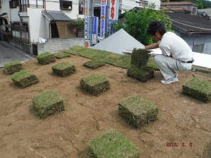 草屋根に挑戦！