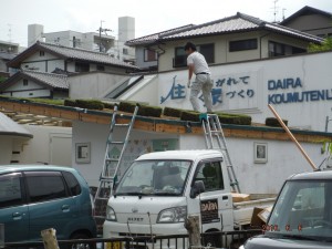 草屋根に挑戦！