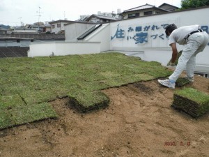 草屋根に挑戦！