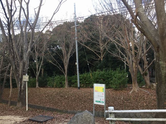 妙見さん 初参りに行って参りました~♬
