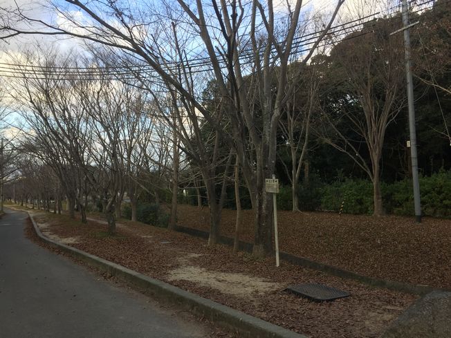妙見さん 初参りに行って参りました~♬
