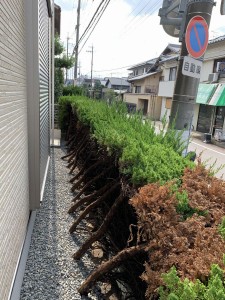 a202012224_005
