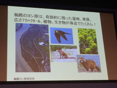 おおさかエコと和LOVEフェスタ2015に行って参りました~♪